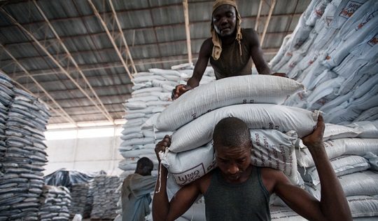 FG Launches National Fertiliser Control Act, Targets Increased GDP